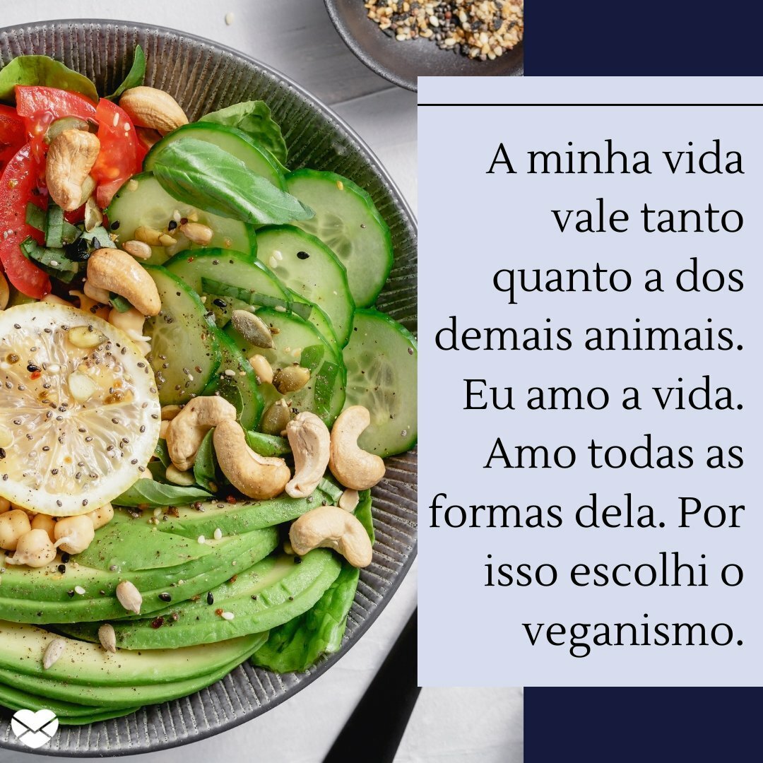 Frases veganas para Instagram: influencie seus seguidores!
