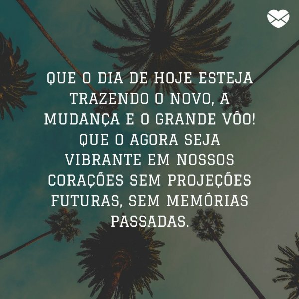 Mensagens de bom dia para começar o dia com positividade