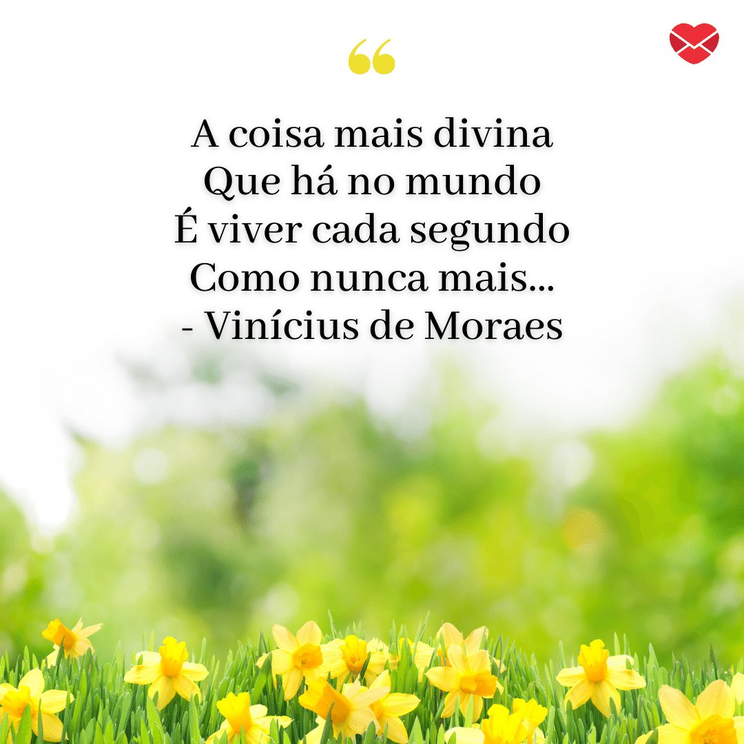 Mensagens Com Amor / Canva / AlexRaths 'A coisa mais divina que há no mundo é viver cada segundo como nunca mais... - Vinícius de Moraes' - Mensagens de carinho