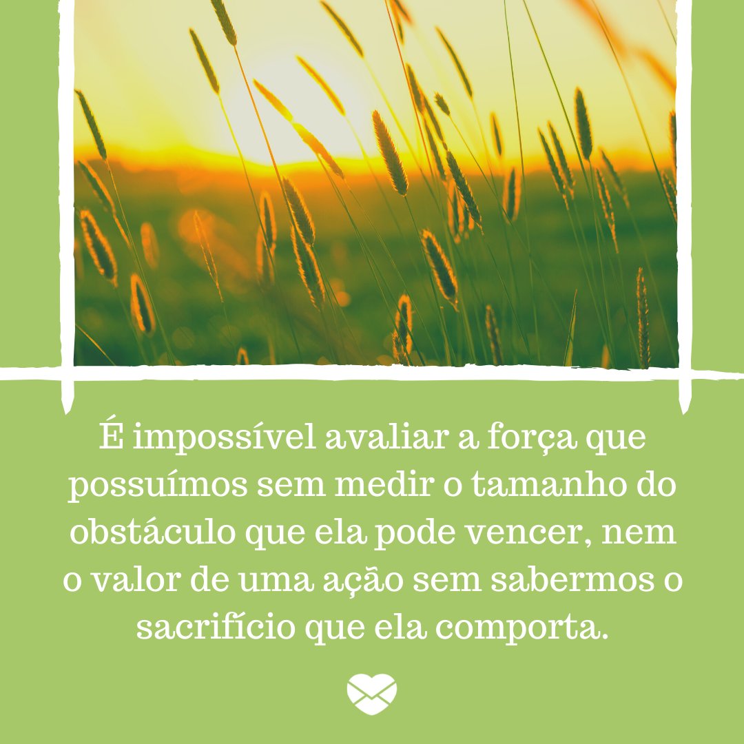 'É impossível avaliar a força que possuímos sem medir o tamanho do obstáculo que ela pode vencer, nem o valor de uma ação sem sabermos o sacrifício que ela comporta.' - Frases de Reflexão