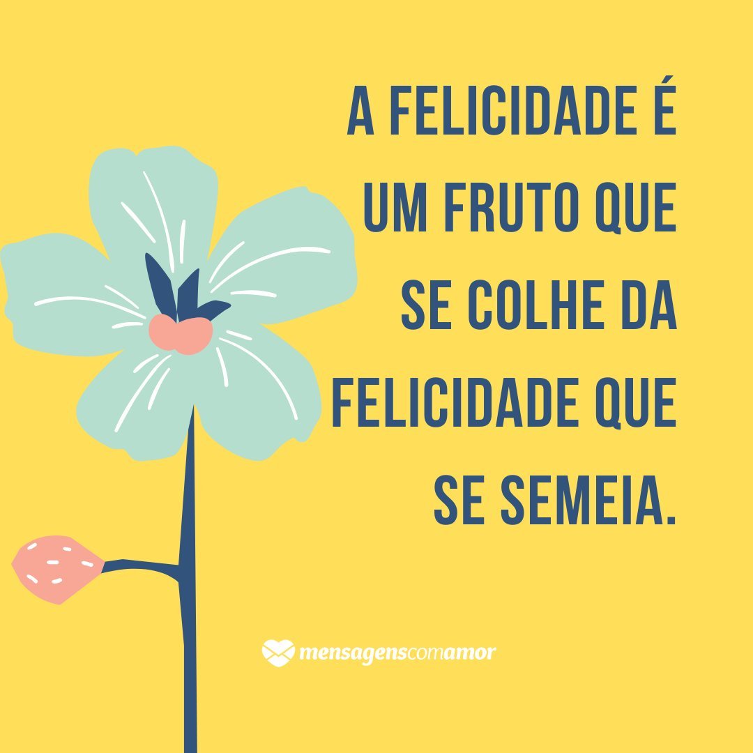 'A felicidade é um fruto que se colhe da felicidade que se semeia.' - Frases Lindas