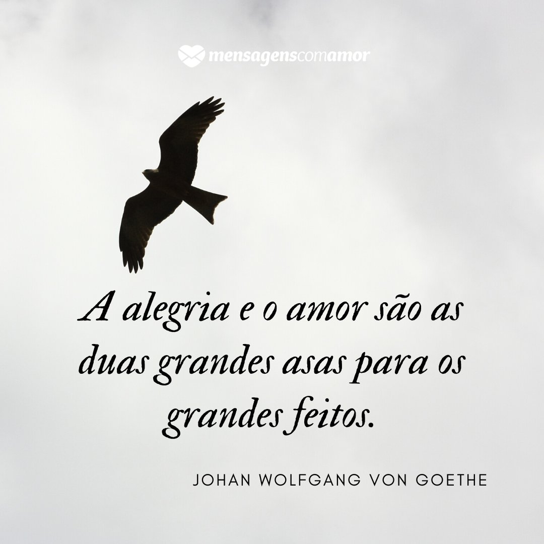 'A alegria e o amor são as duas grandes asas para os grandes feitos.' - Frases Lindas