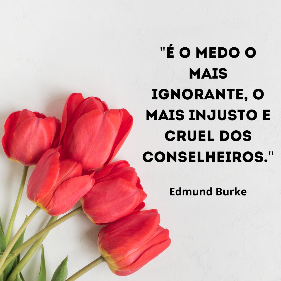 Frases De Conselhos: Demonstre Todo O Seu Apoio!