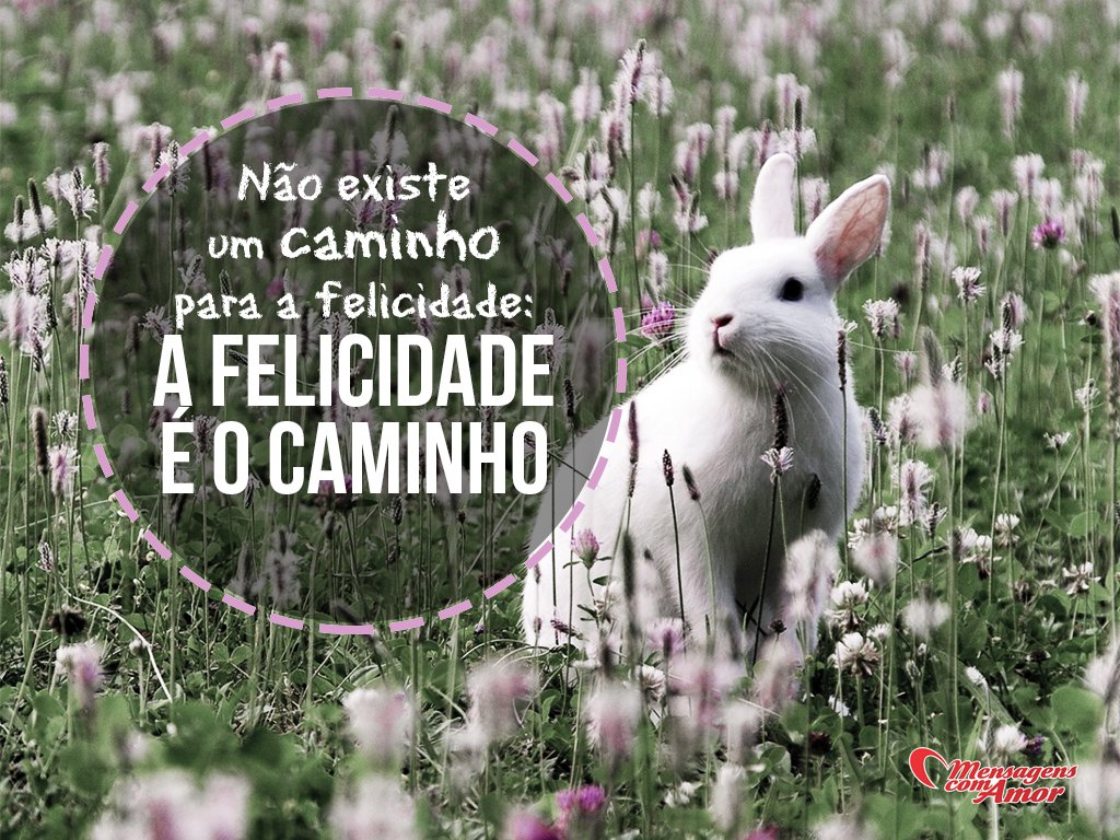 Mensagens Com Amor | Canva 'Não existe um caminho para a felicidade. A felicidade é o caminho.' - Frases Lindas