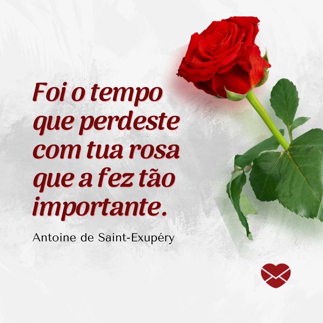 'Foi o tempo que perdeste com tua rosa que a fez tão importante. Antoine de Saint-Exupéry' - Frases do Pequeno Príncipe