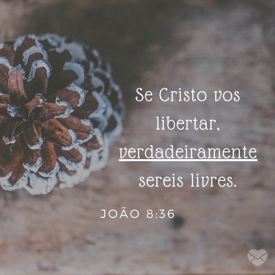 'Se Cristo vos libertar, verdadeiramente sereis livres. João 8:36' - Frases Bíblicas
