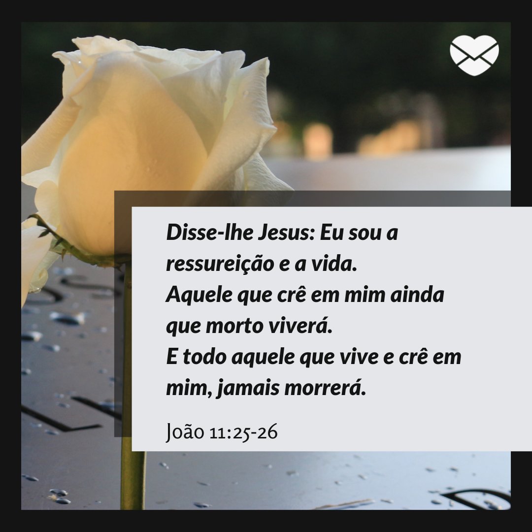 ''Disse-lhe Jesus: Eu sou a ressureição e a vida. Aquele que crê em mim ainda que morto viverá. E todo aquele que vive e crê em mim, jamais morrerá''. -  Mensagens de Luto