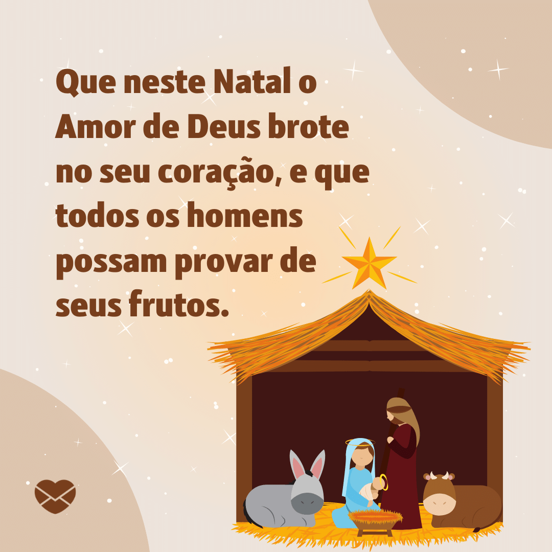 'Que neste Natal o Amor de Deus brote no seu coração, e que todos os homens possam provar de seus frutos.' -  Frases de Natal