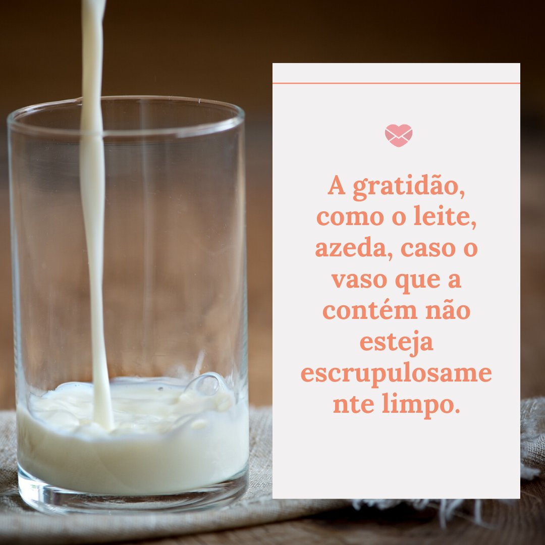 'A gratidão, como o leite, azeda, caso o vaso que a contém não esteja escrupulosamente limpo.' - Frases de Obrigado