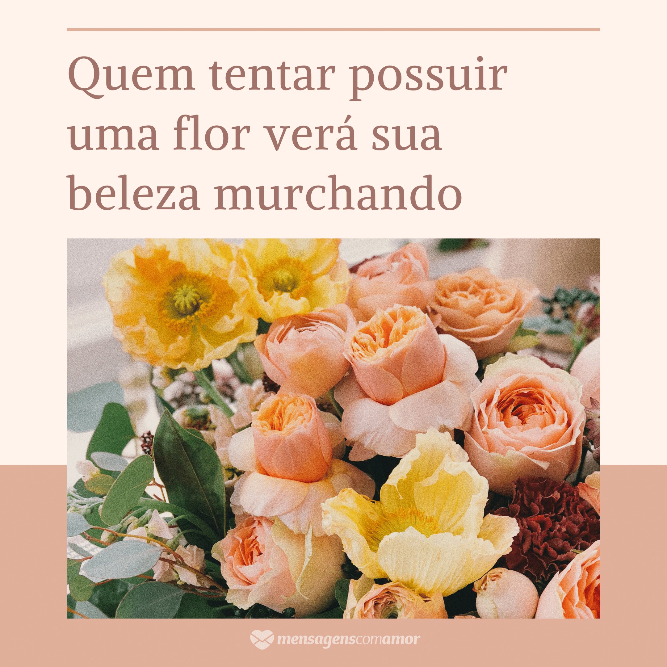 Mensagens Com Amor/Canva 'Quem tentar possuir uma flor verá sua beleza murchando' - Frases de Liberdade Frases de Liberdade