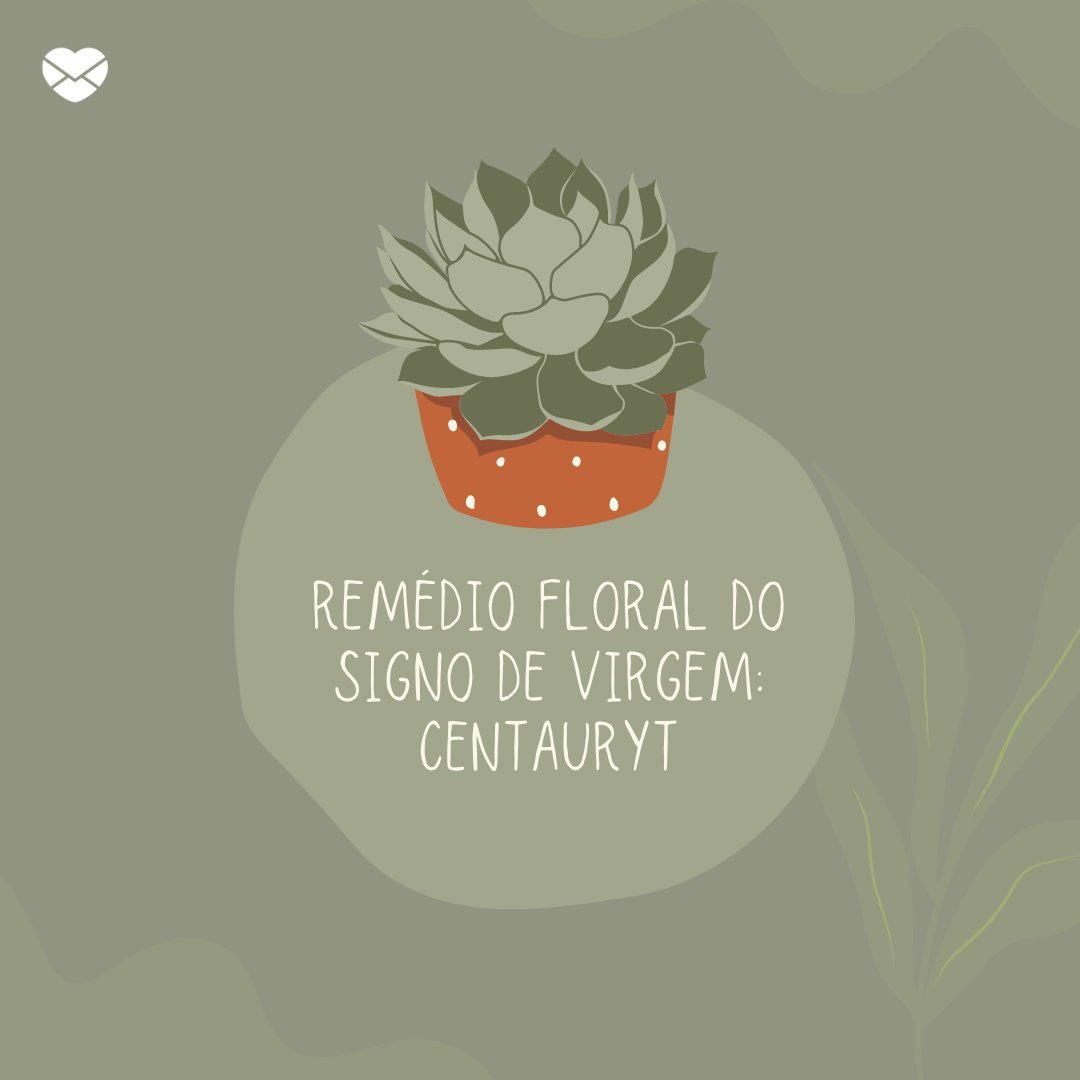 'Remédio Floral do signo de virgem: Centauryt' - Signo de Virgem