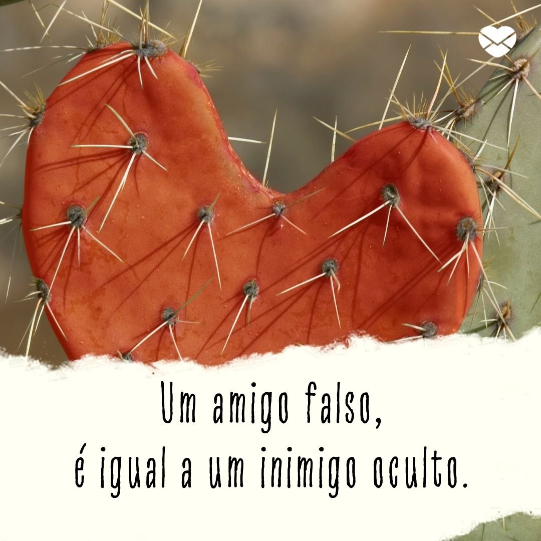Frases sobre falsas amizades. Você tem um amigo falso? Frases sobre falsas amizades. Você tem um amigo falso?