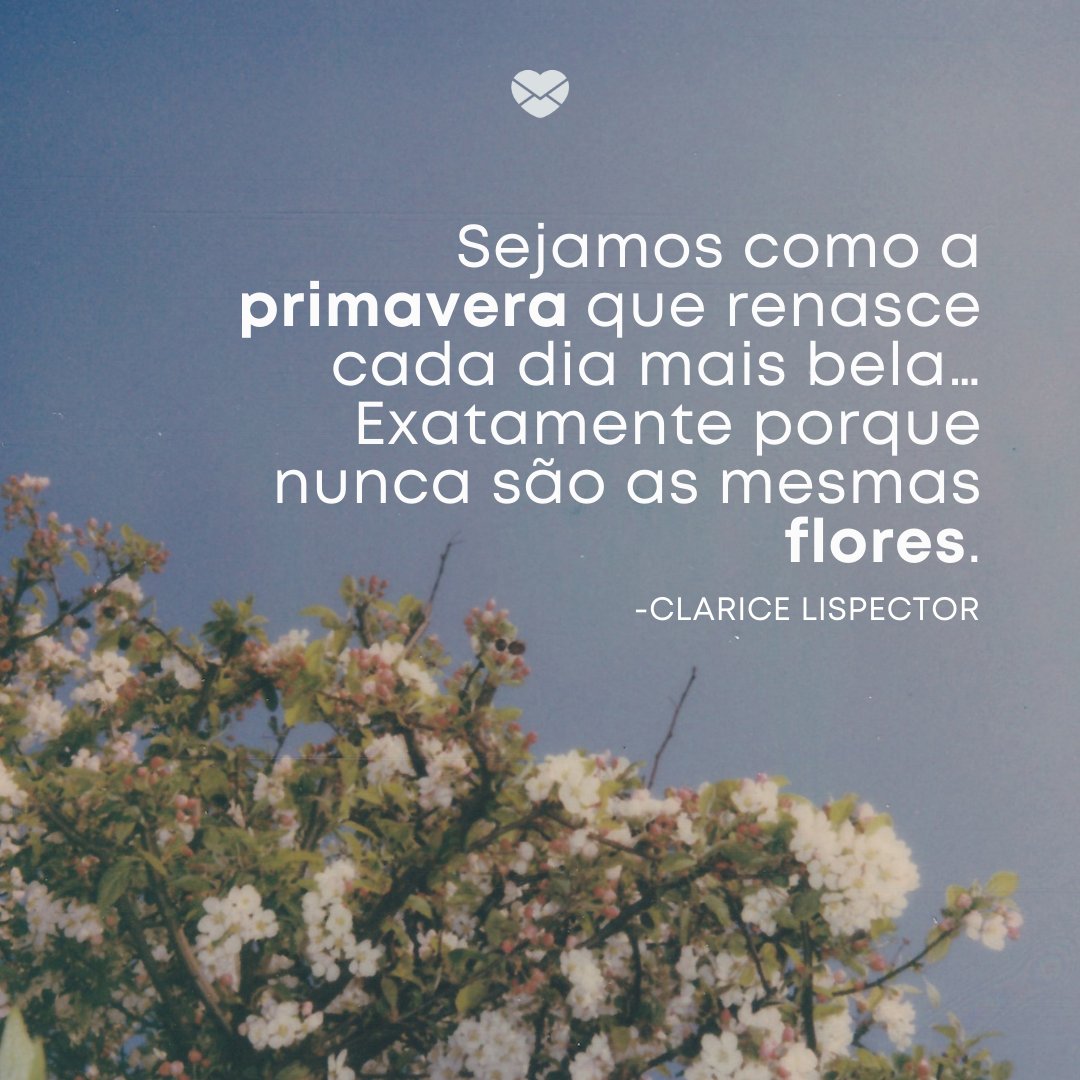 'Sejamos como a primavera que renasce cada dia mais bela… Exatamente porque nunca são as mesmas flores.' -Frases de Primavera