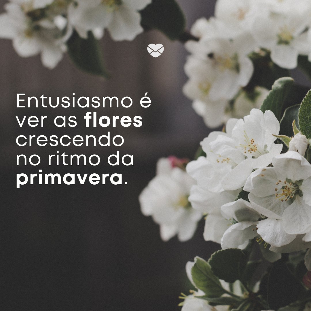 'Entusiasmo é ver as flores crescendo no ritmo da primavera.' -Frases de Primavera