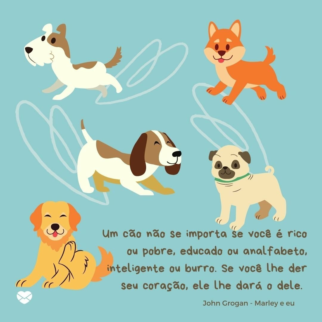 Dia Do Cachorro Comemore O Momento Do Seu Melhor Amigo Dia Do Cachorro Comemore O Momento Do Seu Melhor Amigo