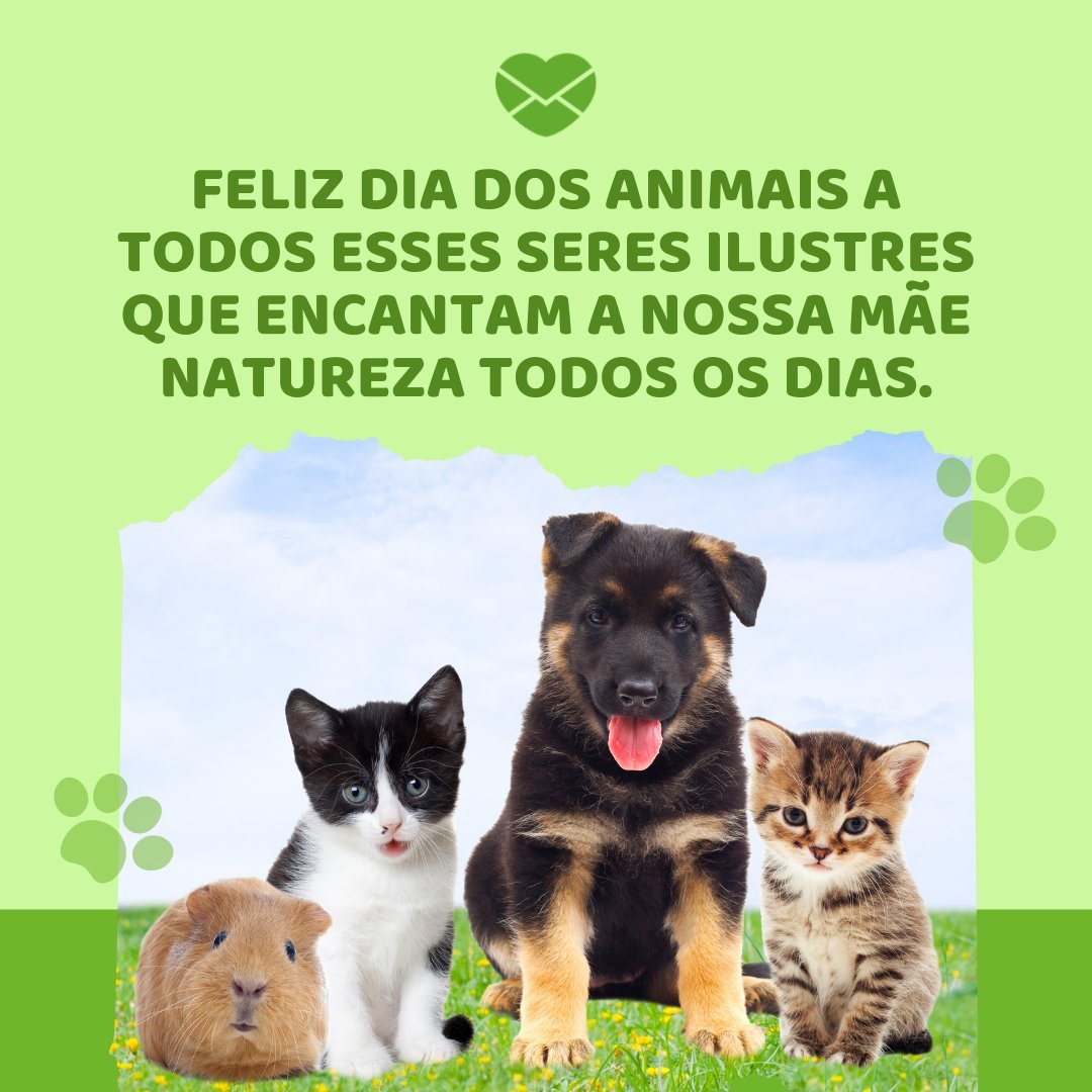'Feliz Dia dos Animais a todos esses seres ilustres que encantam a nossa mãe natureza todos os dias.' - Dia dos Animais