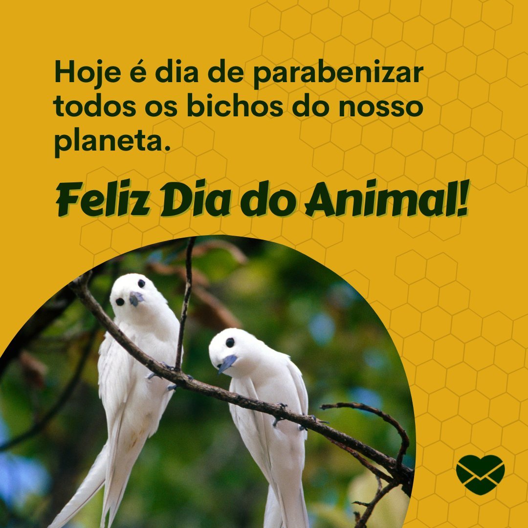 'Hoje é dia de parabenizar todos os bichos do nosso planeta. Feliz Dia do Animal!' - Dia dos Animais
