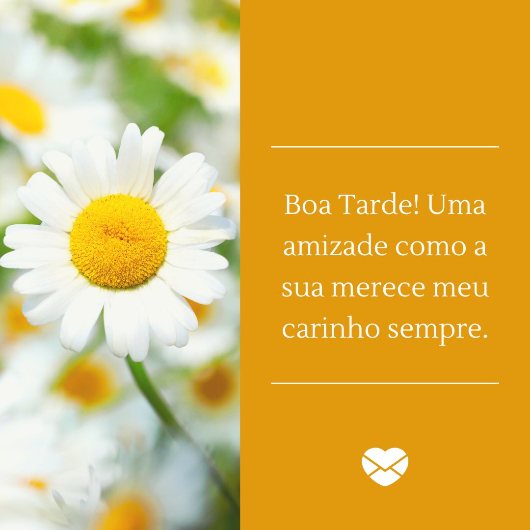 JanBussan / Canva / Mensagens Com Amor 'Boa Tarde! Uma amizade como a sua merece meu carinho sempre.' - Mensagens de Boa Tarde