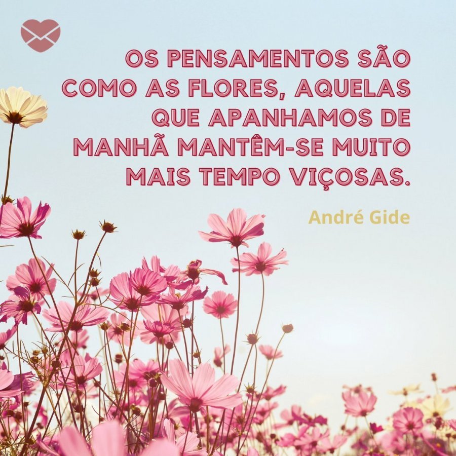 Encante-se com estas belas frases de flores