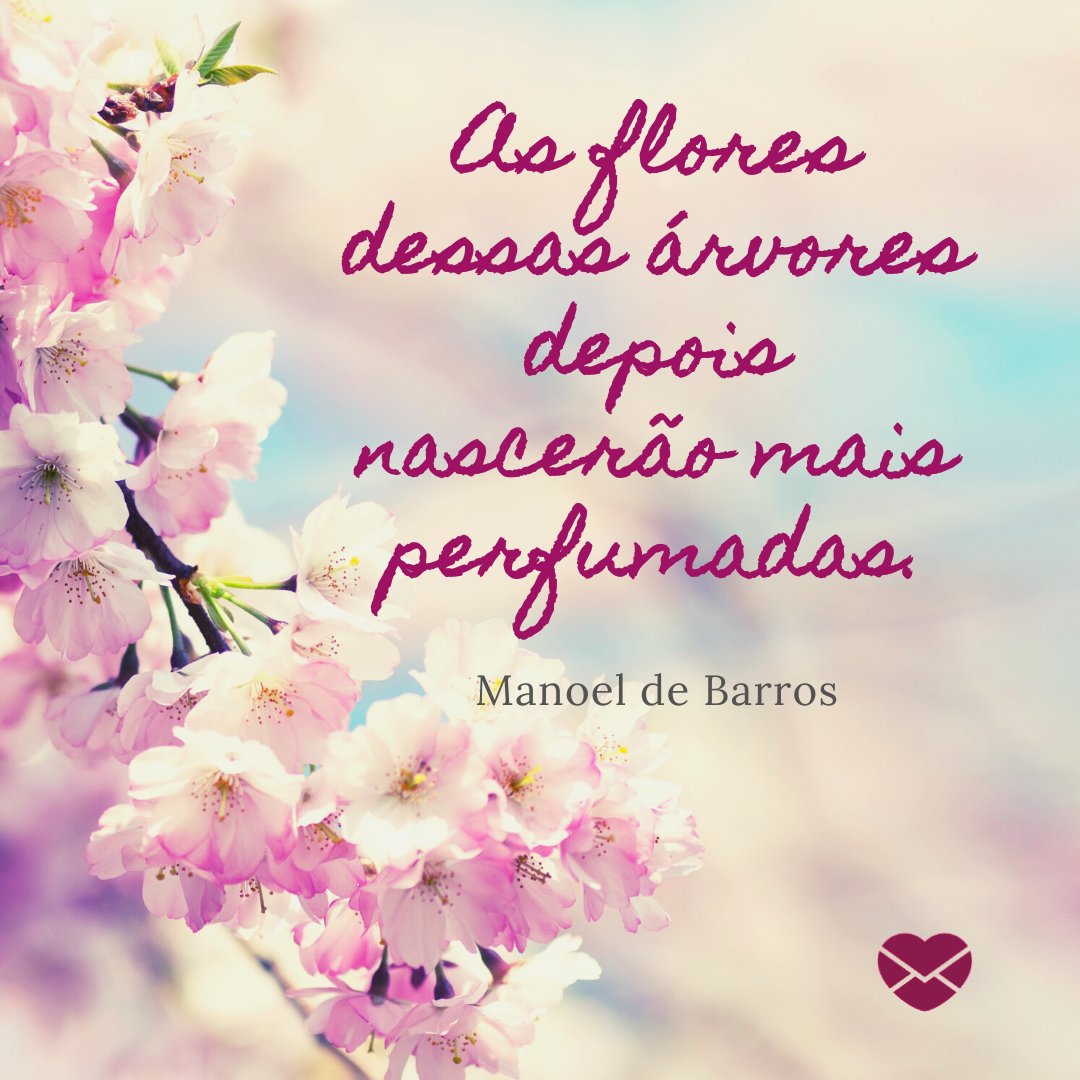 'As flores dessas árvores depois nascerão mais perfumadas. Manoel de Barros' - Frases de Flores