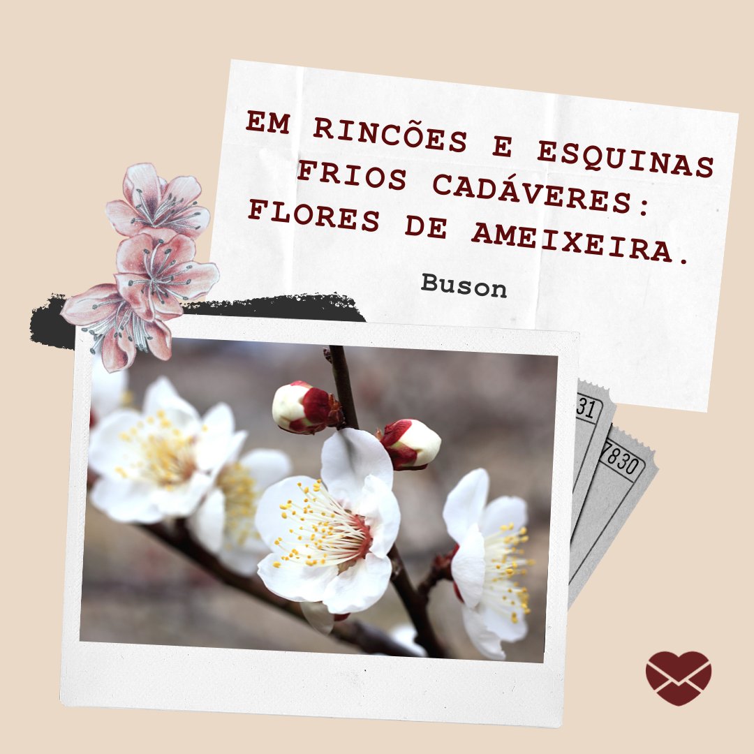 'Em rincões e esquinas frios cadáveres: flores de ameixeira. Buson' - Frases de Flores