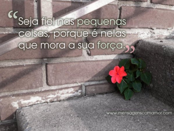 Mensagens Com Amor 'Seja fiel nas pequenas coisas, porque é nelas que mora a sua força' - Imagens para Refletir