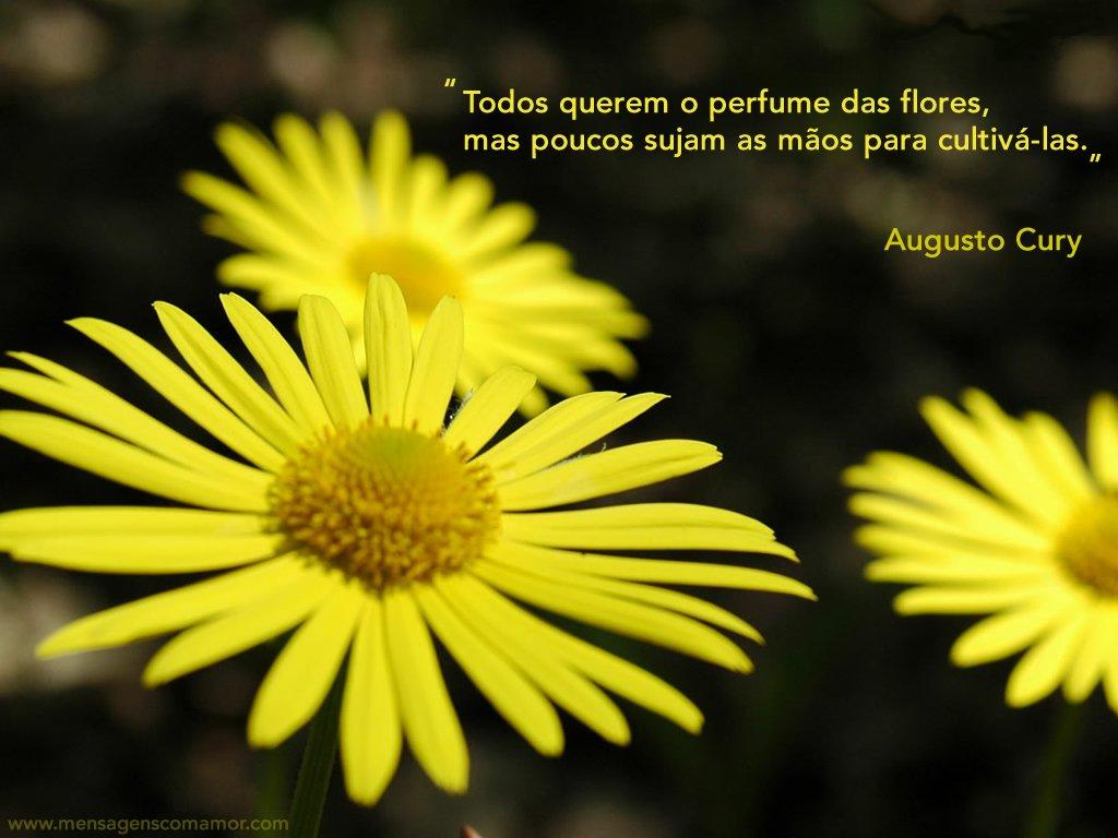 'Todos querem o perfume das flores, mas poucos sujam as mãos para cultivá-las' - Augusto Cury