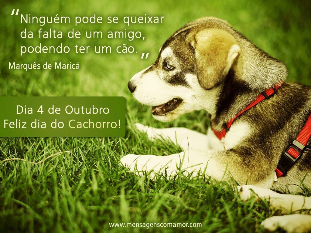 Resultado de imagem para Dia do Cão