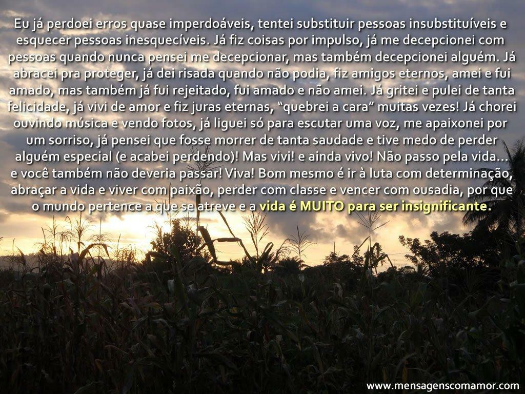 Imagens para Pensar sobre a Vida é hora de Refletir Eu já perdoei erros quase imperdoáveis tentei substituir pessoas insubstituveis e esquecer pessoas inesquecveis Já fiz coisas por impulso
