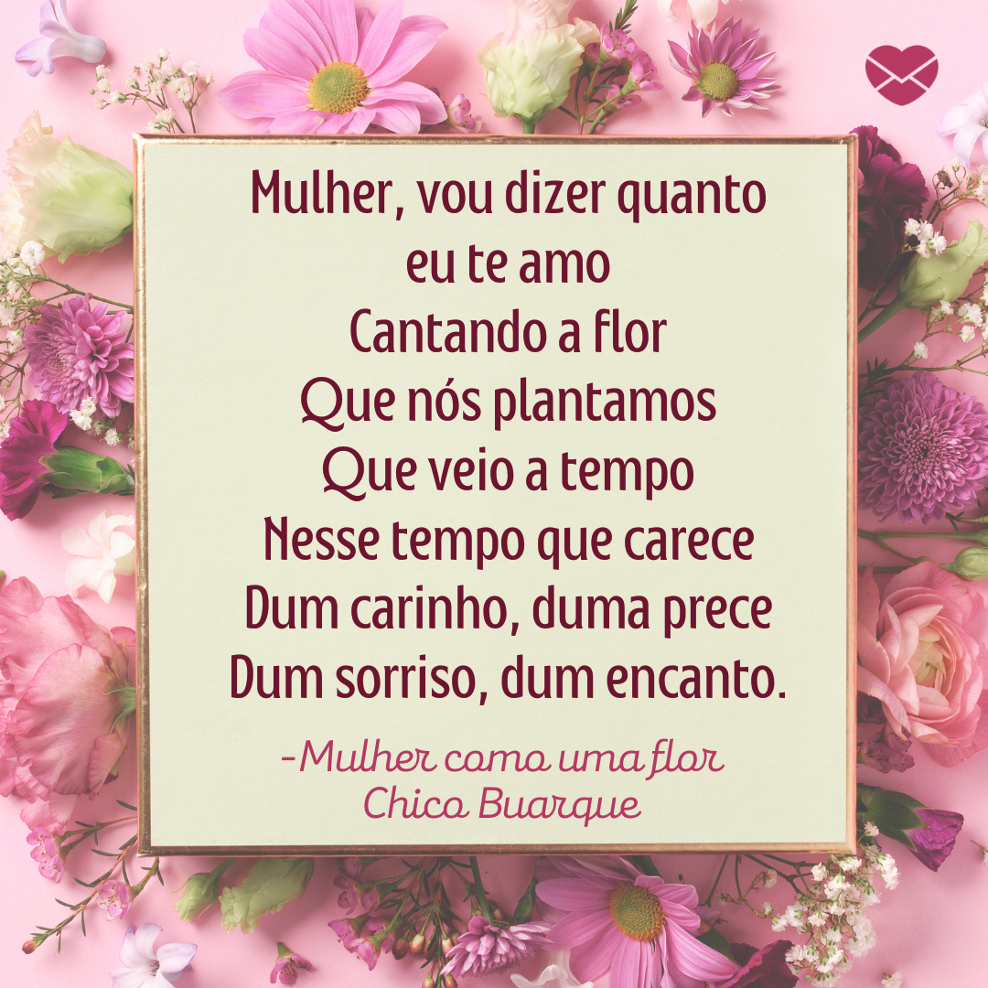 'Mulher, vou dizer quanto eu te amo Cantando a flor Que nós plantamos Que veio a tempo Nesse tempo que carece Dum carinho, duma prece Dum sorriso, dum encanto.  -Mulher como uma flor Chico Buarque'-Músicas para Mulheres