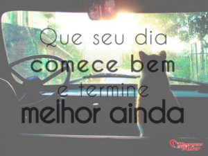 Mensagens Com Amor 'Que seu dia comece bem e termine melhor ainda' - Imagens de amizades inesperadas entre bichinhos