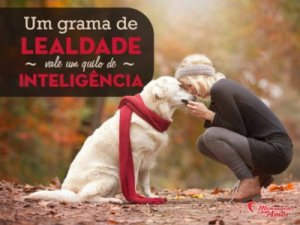 Mensagens Com Amor 'Um grama de lealdade vale um quilo de inteligência' - Imagens de amizades inesperadas entre bichinhos