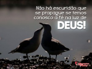 Mensagens Com Amor 'Não há escuridão que se propague se temos fé na luz de Deus!' - Imagens de amizades inesperadas entre bichinhos