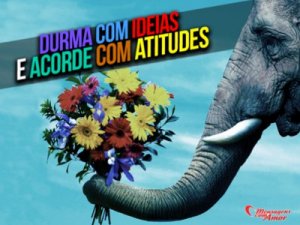 Mensagens Com Amor 'Durma com ideias e acorde com atitudes' - Imagens de amizades inesperadas entre bichinhos