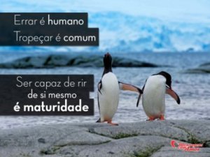 Mensagens Com Amor 'Errar é humano, tropeçar é comum. Ser capaz de rir de si mesmo é maturidade' - Imagens de amizades inesperadas entre bichinhos