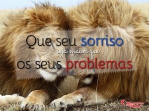 Mensagens Com Amor 'Que seu sorriso seja maior que os seus problemas' - Imagens de amizades inesperadas entre bichinhos