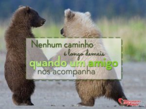 Mensagens Com Amor 'Nenhum caminho é longo demais quando um amigo nos acompanha' - Imagens de amizades inesperadas entre bichinhos