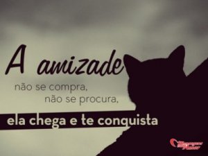 Mensagens Com Amor 'A amizade não se compra, não se procura, ela chega e te conquista' - Imagens de amizades inesperadas entre bichinhos
