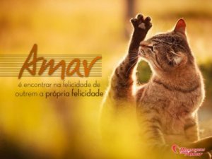 Mensagens Com Amor 'Amar é encontrar na felicidade de outrem a própria felicidade' - Imagens de amizades inesperadas entre bichinhos