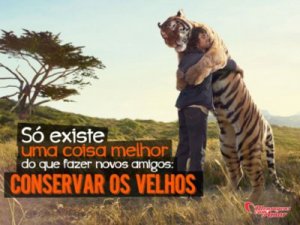 Mensagens Com Amor 'Só existe uma coisa melhor do que fazer novos amigos: conservar os velhos' - Imagens de amizades inesperadas entre bichinhos