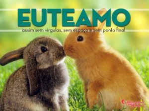 Mensagens Com Amor 'Euteamo assim sem vírgulas, sem espaços e sem ponto final' - Imagens de amizades inesperadas entre bichinhos