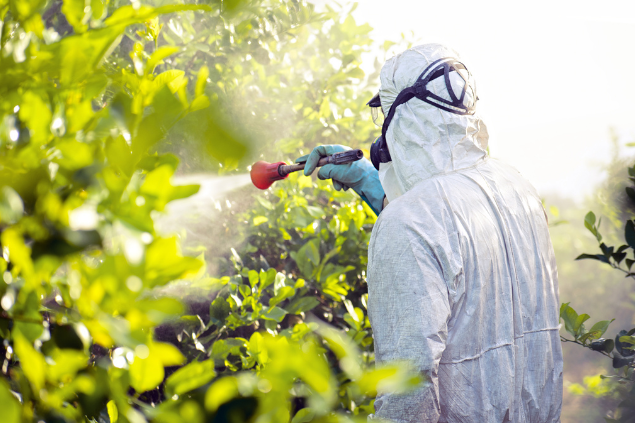 Funcionário jogando pesticida em cima das plantas