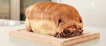 Um cachorro laranja em cima de uma tábua, e seu formato parace o de um pão de forma.