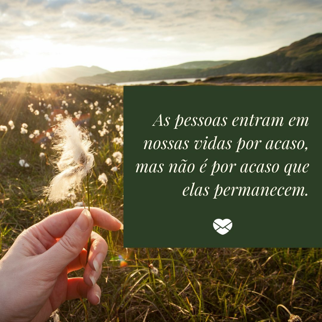 Frases para pessoas especiais. Demonstre seu afeto.