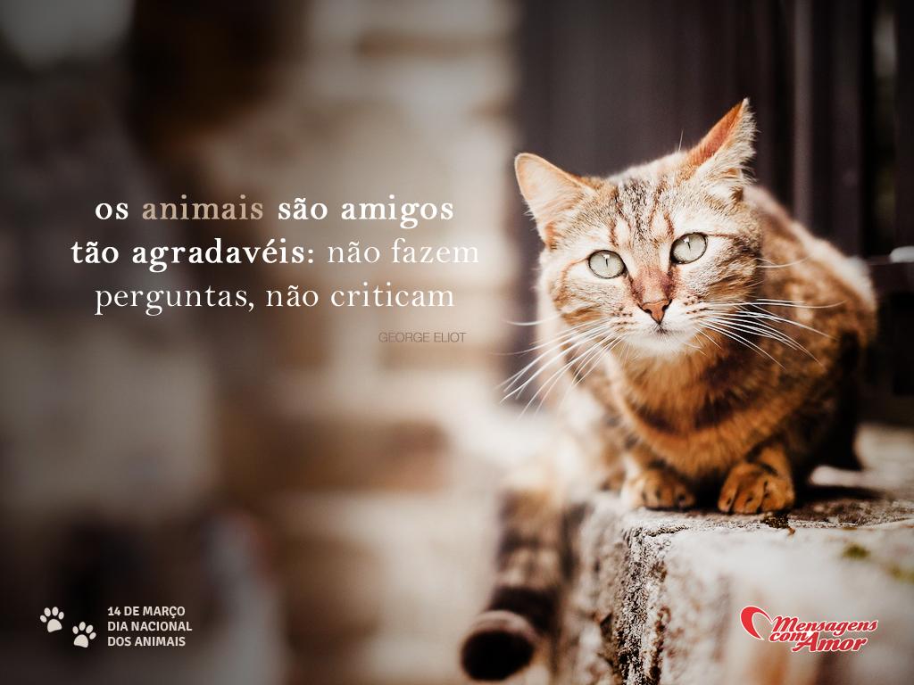 Imagens do Dia dos Animais Eles s£o fofos e merecem este dia Os animais s£o amigos t£o agradáveis n£o fazem perguntas n£o criticam
