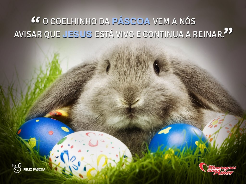 'O coelhinho da Páscoa vem a nós avisar que Jesus está vivo e continua a reinar.' -  Imagens de Páscoa