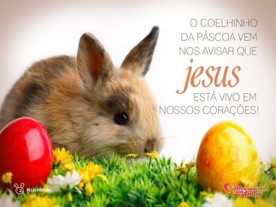 'O coelhinho da Páscoa vem nos avisar que Jesus está vivo em nossos corações.' -  Frases de Páscoa