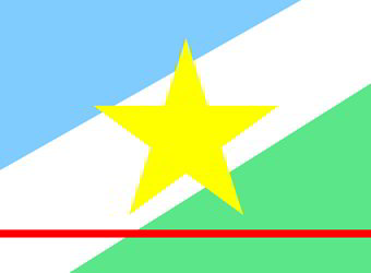 Bandeira do estado de Roraima