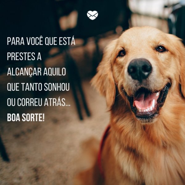 Mensagens Com Amor/ Canva 'Para você que está prestes a alcançar aquilo que tanto sonhou ou correu atrás... Boa Sorte!' -Mensagens de boa sorte