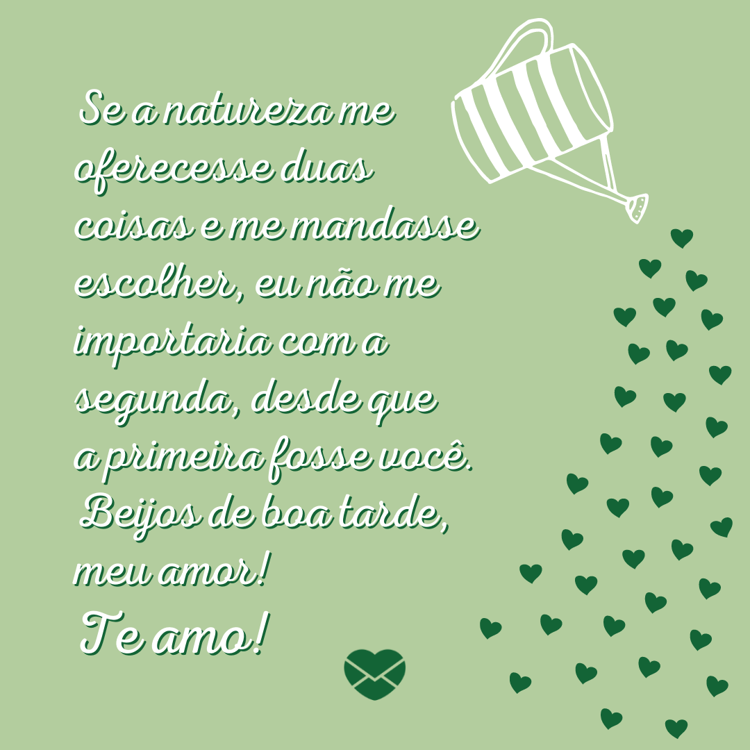 'Se a natureza me oferecesse duas coisas e me mandasse escolher, eu não me importaria com a segunda, desde que a primeira fosse você. Beijos de boa tarde, meu amor! Te amo!' - Boa tarde, meu amor